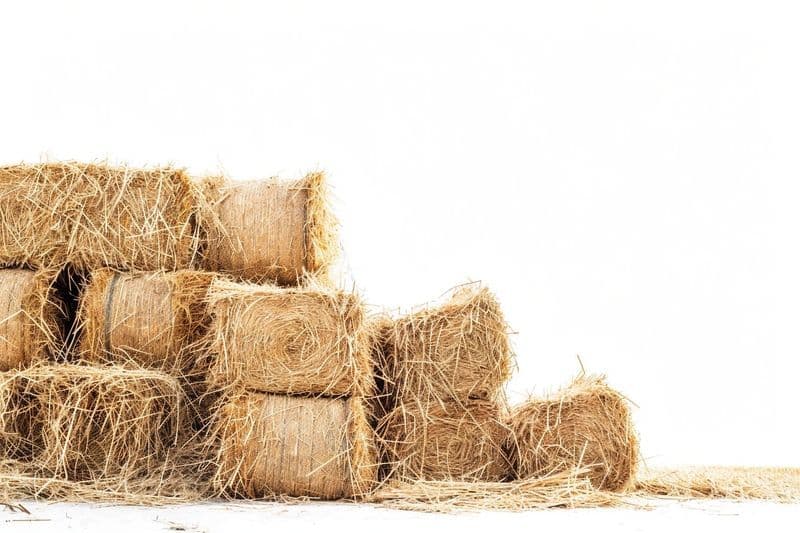 Le commerce agricole sous un nouvel éclairage