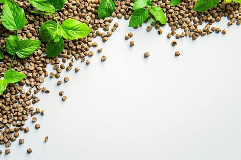 Utilisation raisonnée des granulés anti-limaces 💧