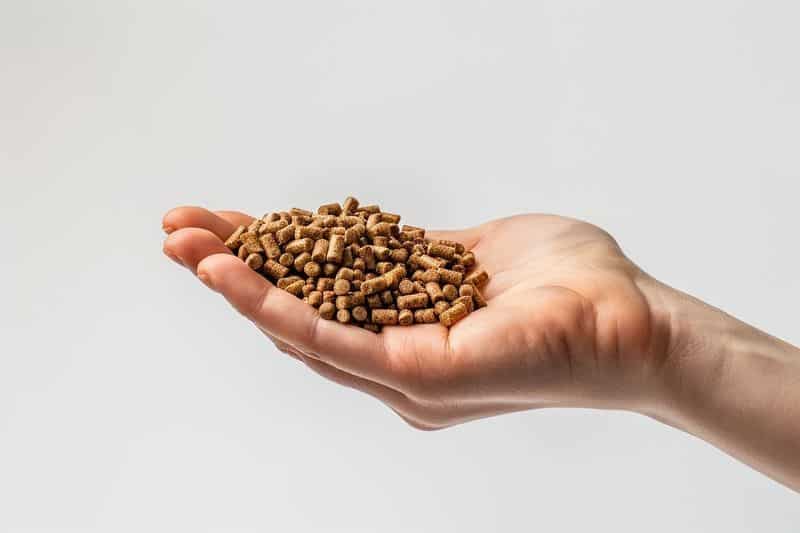 Comparaison entre les différents types de pellets