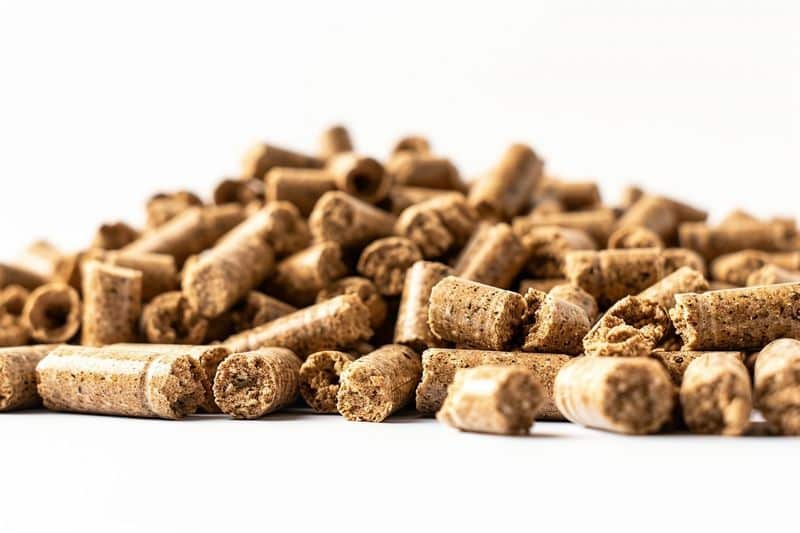 Perspectives pour l'intégration des agro-pellets dans le système énergétique