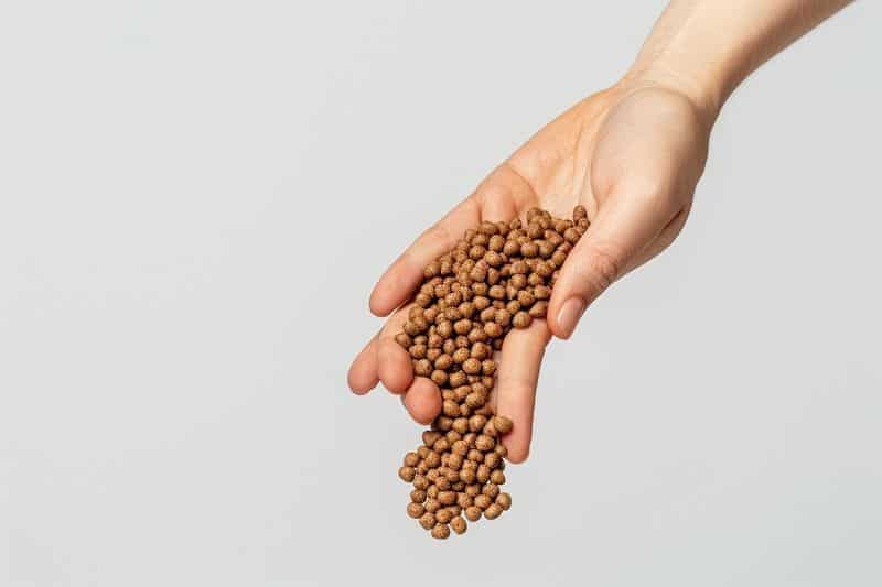 Les implications environnementales des pellets brillants