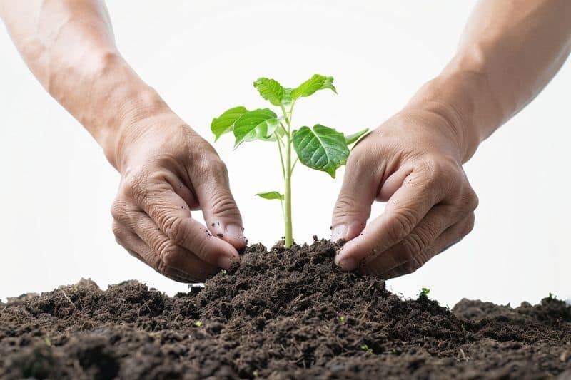 Amarenco : un modèle économique régénératif