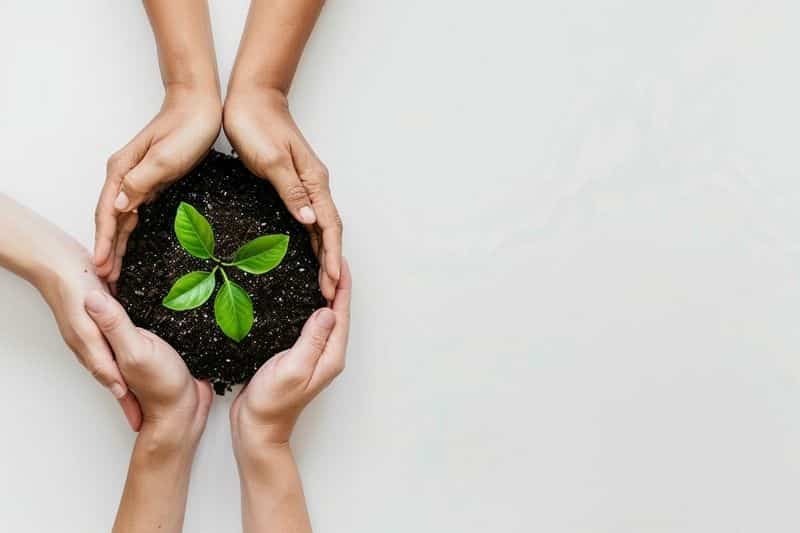 Des partenariats stratégiques pour le développement durable