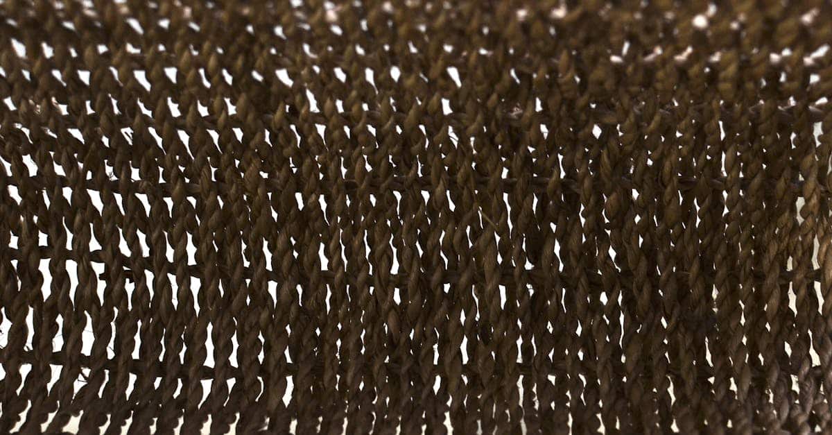 faites un don aujourd'hui pour soutenir une cause qui vous tient à cœur et contribuer à un impact positif durable.