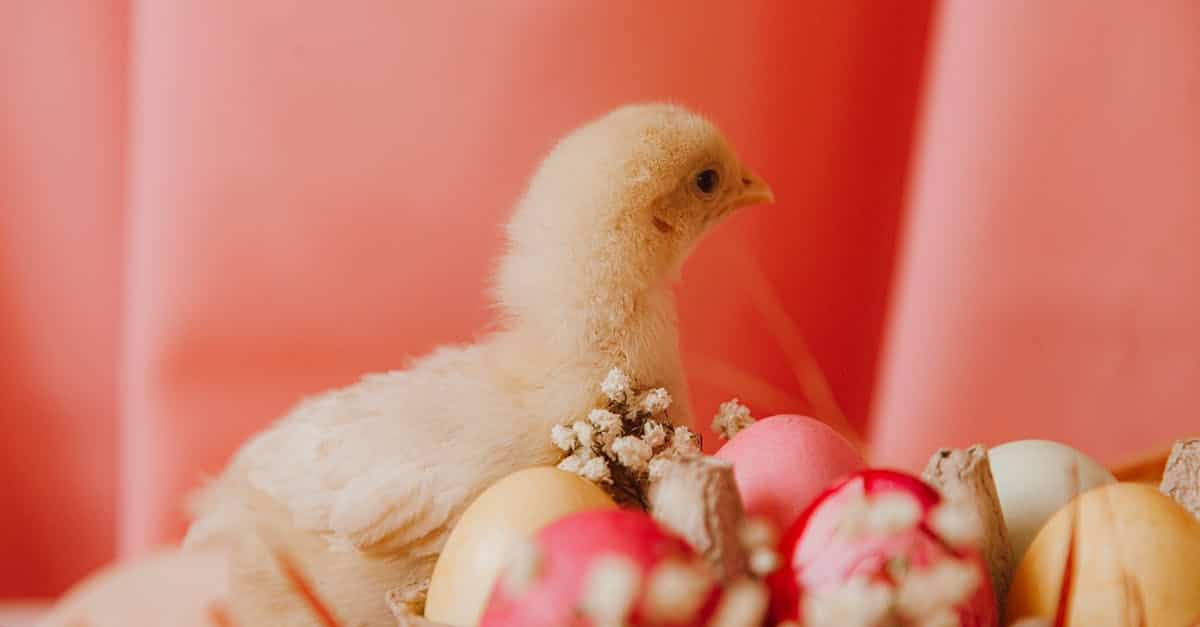 découvrez des idées créatives et colorées pour vos décorations de pâques, parfaites pour embellir votre maison et célébrer cette fête printanière.
