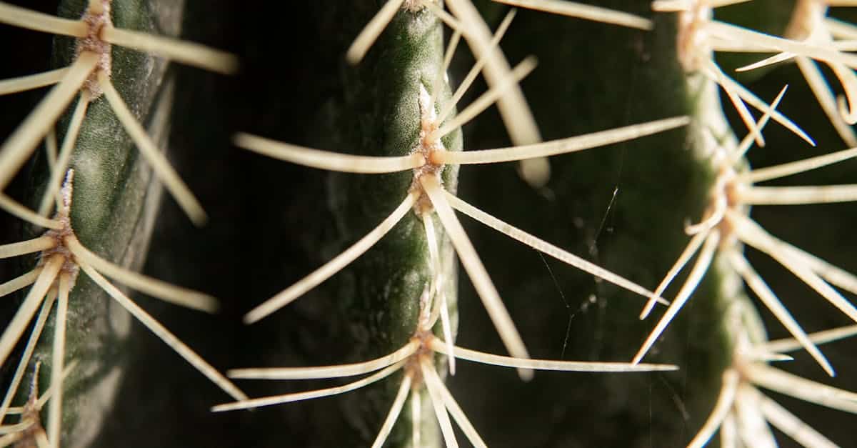 découvrez notre sélection de plantes d'intérieur pour apporter une touche de verdure et de fraîcheur à votre maison. conseils d'entretien et idées déco inclus.
