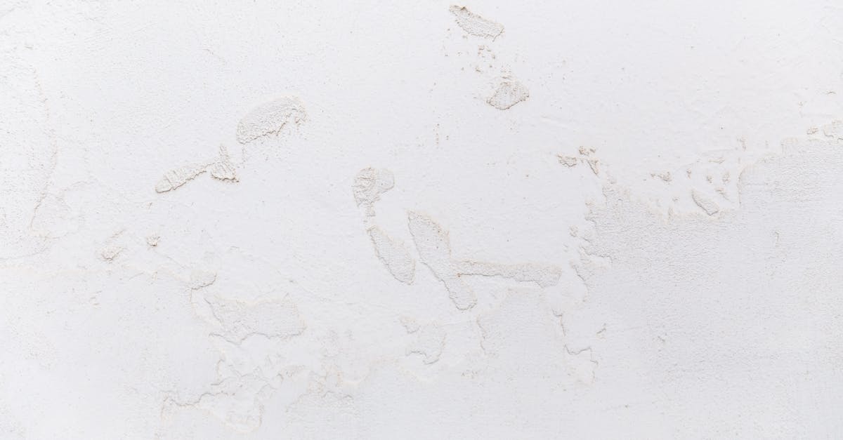 découvrez tout ce qu'il faut savoir sur l'huile : types, utilisations, bienfaits et conseils pratiques pour choisir la meilleure huile adaptée à vos besoins.