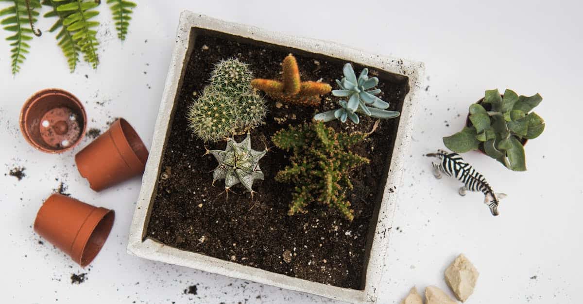 découvrez notre sélection de plantes en pot, parfaites pour embellir votre intérieur ou votre jardin avec des plantes faciles à entretenir.