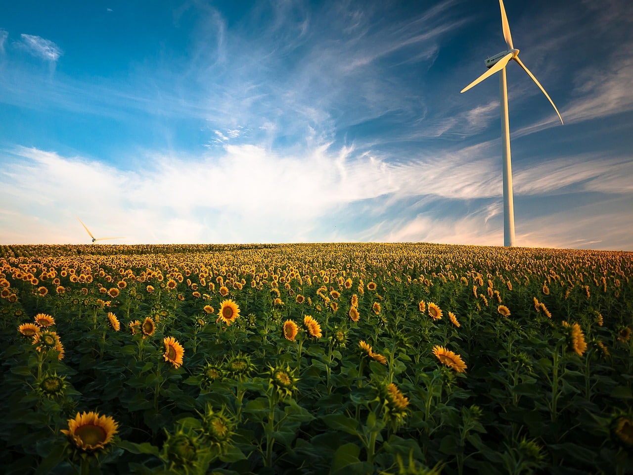 investissez dans l'énergie renouvelable grâce au financement participatif et soutenez des projets durables pour un avenir plus vert.