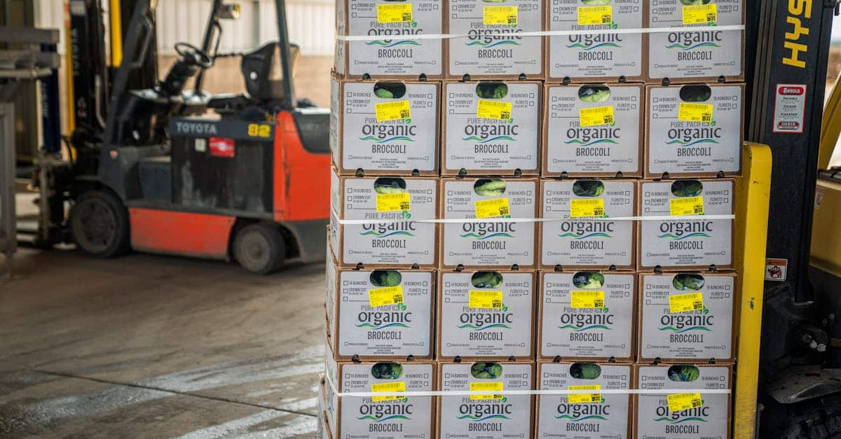 opérateur de chariot élévateur temporaire disponible pour des missions flexibles en entrepôt, logistique ou industrie. expérience et certification assurant sécurité et efficacité.