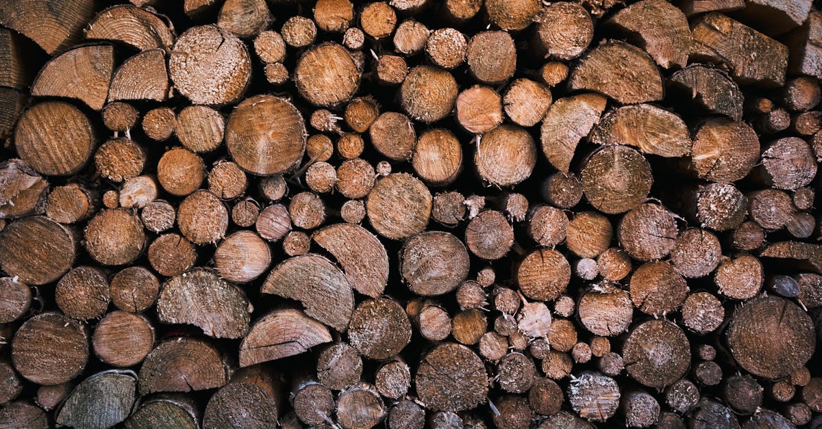 découvrez les avantages du bois comme source de combustible renouvelable, économique et écologique pour chauffer votre maison.