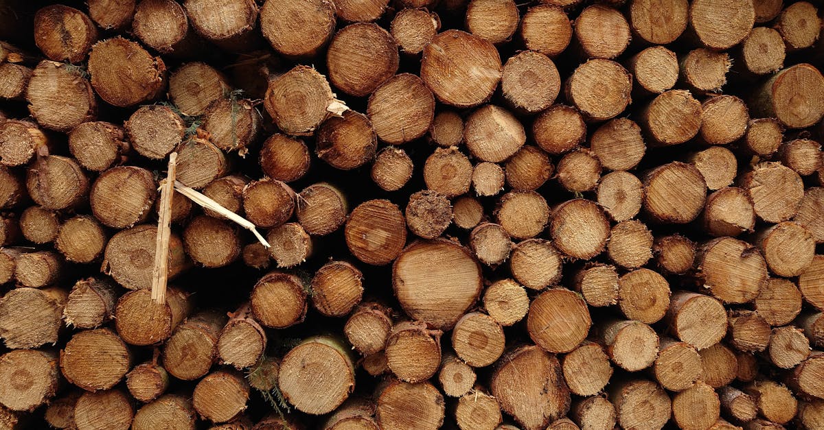 découvrez nos granulés de bois de haute qualité, une source d'énergie écologique et économique pour votre chauffage.