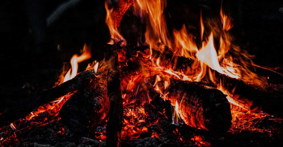 découvrez nos poêles à granulés de bois performants et écologiques pour un chauffage économique et durable.