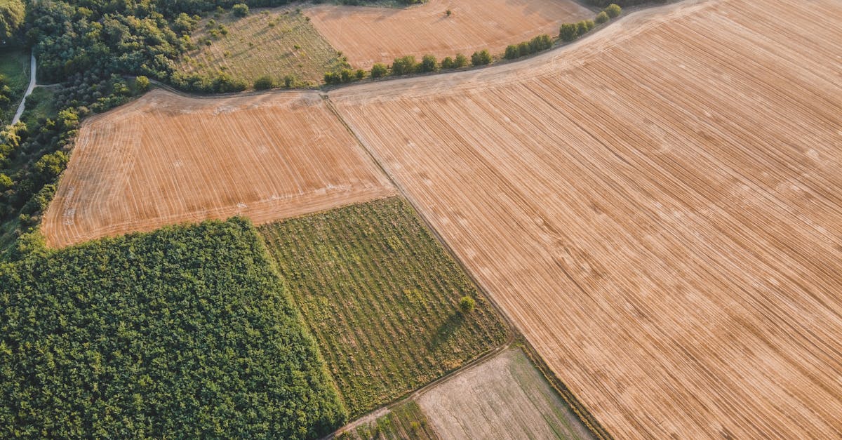 découvrez les meilleures pratiques et stratégies pour la protection des terres agricoles, assurant leur durabilité et productivité pour les générations futures.