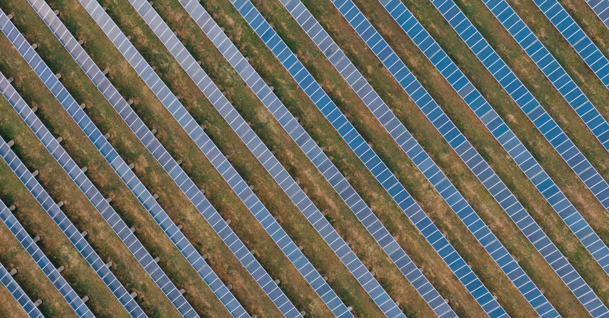 l'agrivoltaïque combine agriculture et production d'énergie solaire pour optimiser l'utilisation des terres et favoriser un développement durable.