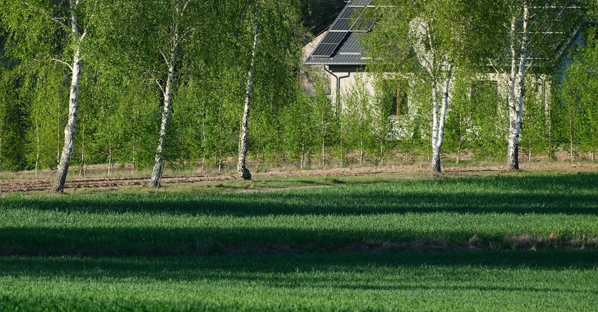 découvrez l'agrivoltaïque, une solution innovante combinant agriculture et production d'énergie solaire pour optimiser l'utilisation des terres et promouvoir un développement durable.
