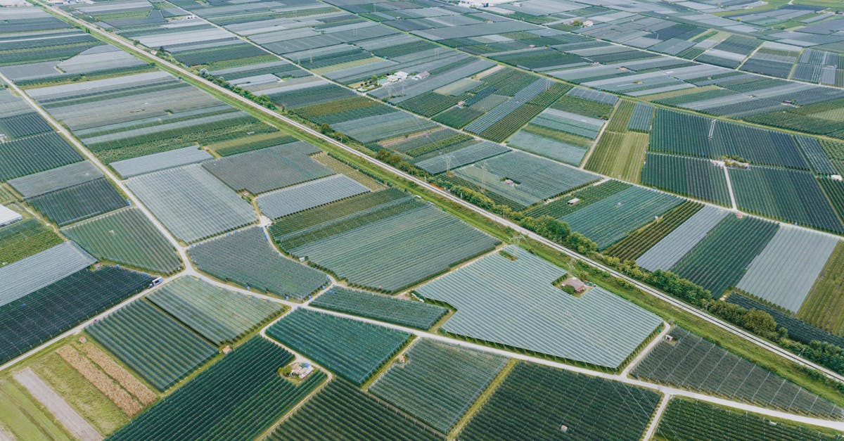 découvrez l'agrivoltaïque, une solution innovante combinant agriculture et énergie solaire pour optimiser l'utilisation des terres et promouvoir un développement durable.