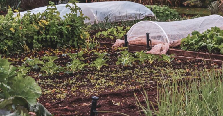 découvrez les avantages du compagnonnage des plantes pour un jardinage naturel et efficace, en combinant les plantes qui se protègent et s'enrichissent mutuellement.