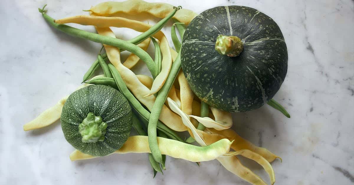 découvrez les meilleures associations de plantations pour les haricots verts afin d'améliorer leur croissance, repousser les parasites et optimiser votre potager.
