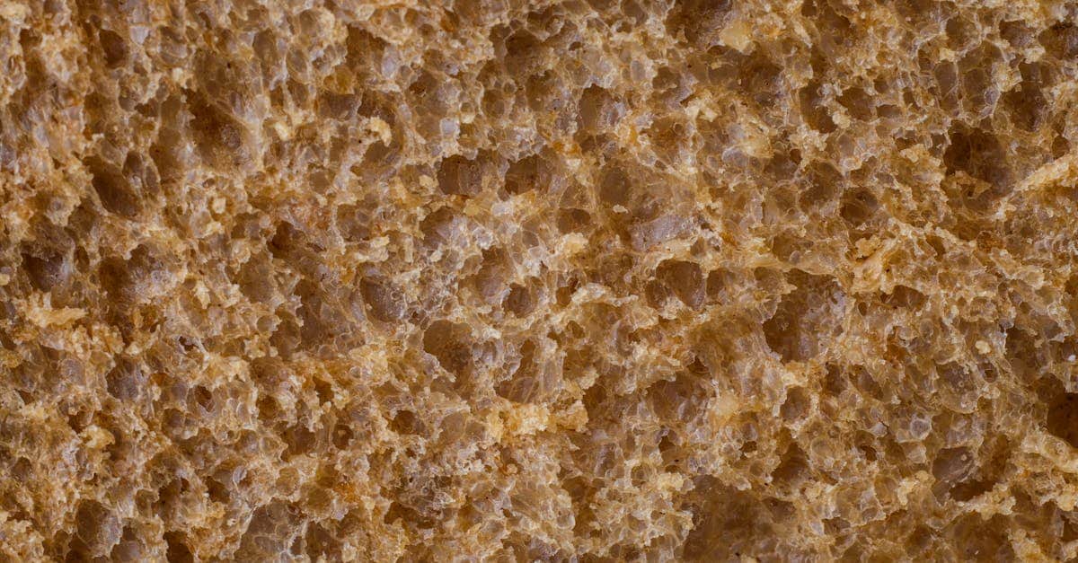 découvrez l'importance des fibres alimentaires pour une digestion saine, la gestion du poids et la prévention de diverses maladies grâce à une alimentation équilibrée.
