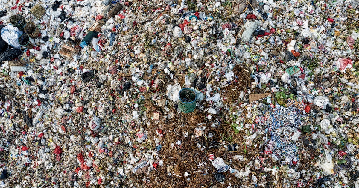 découvrez des astuces et des solutions pour réduire le gaspillage alimentaire, adopter des habitudes durables et préserver l'environnement.