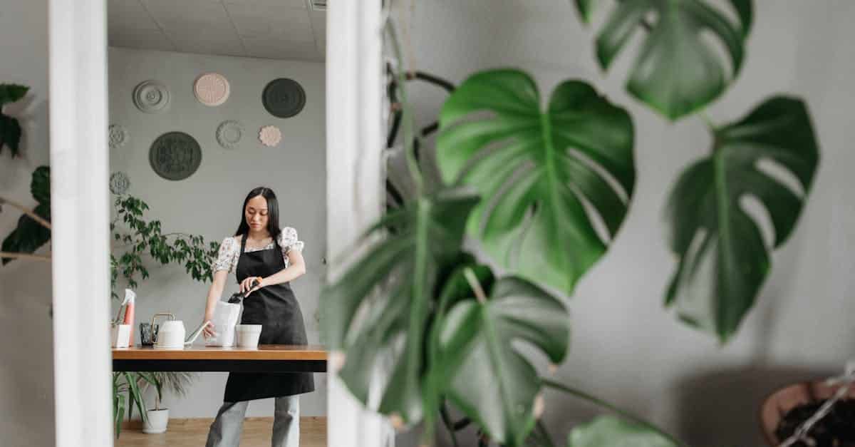 découvrez nos conseils essentiels pour l'entretien des plantes d'intérieur afin de les garder en bonne santé et embellir votre intérieur.