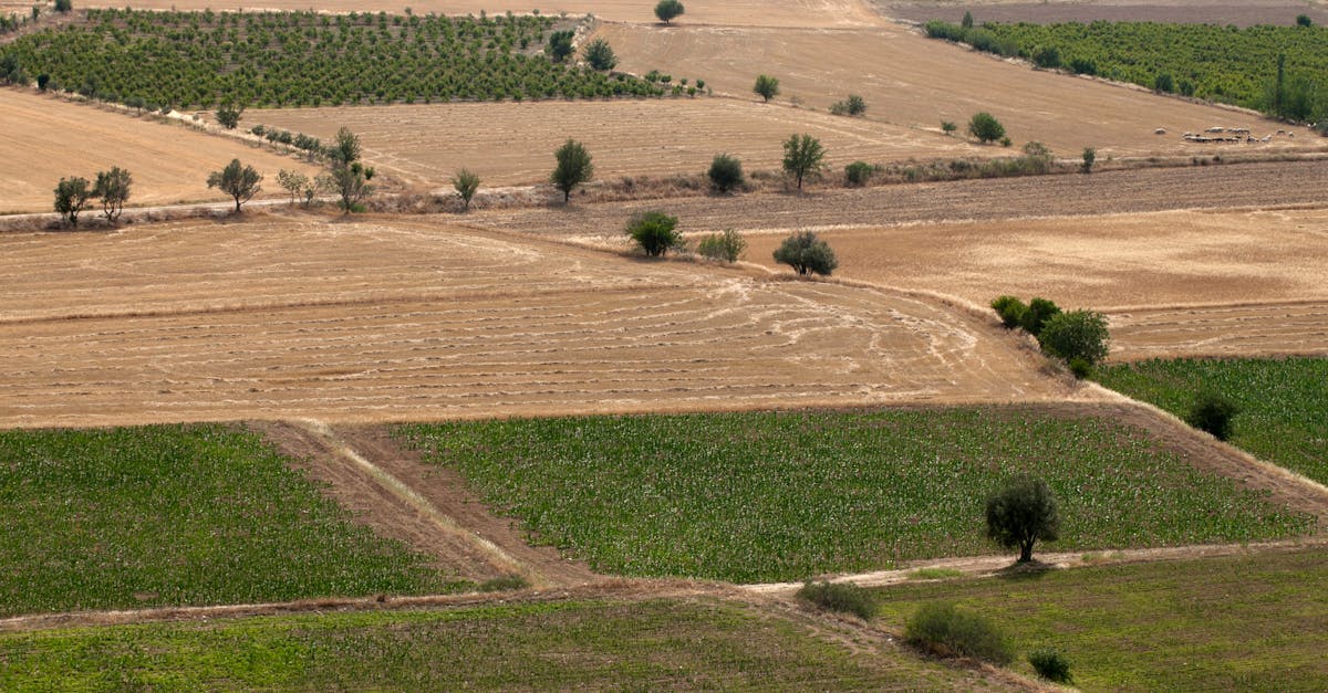 découvrez l'artificialisation des sols, ses causes, impacts environnementaux et solutions pour préserver la biodiversité et les espaces naturels.
