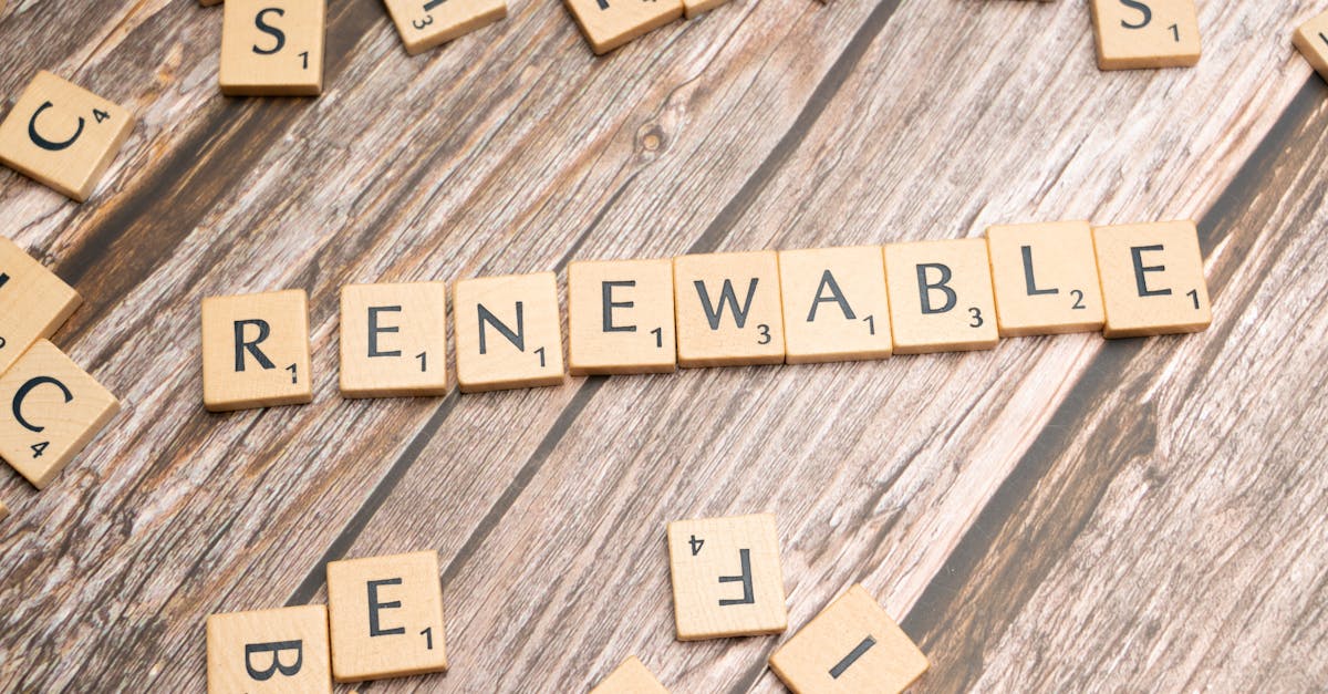 découvrez les solutions innovantes et durables de l'énergie renouvelable pour un avenir plus propre et respectueux de l'environnement.