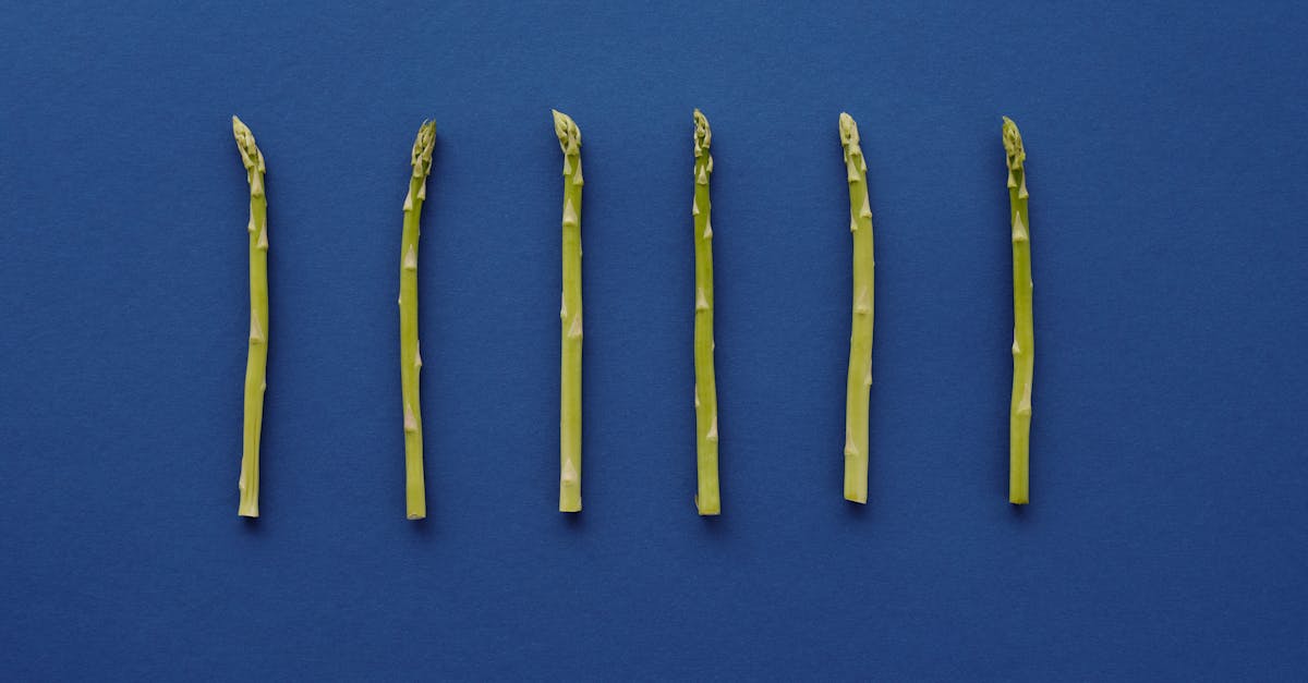 découvrez des recettes savoureuses mettant à l'honneur les légumes de printemps, fraîches et pleines de vitalité pour une cuisine saine et gourmande.