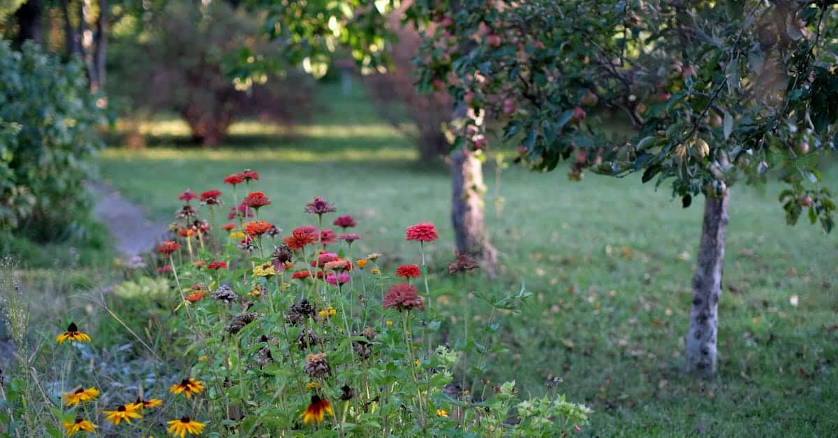 découvrez wildgarden, un jardin sauvage où la nature s'exprime librement entre fleurs, plantes et animaux dans un équilibre naturel et enchanteur.