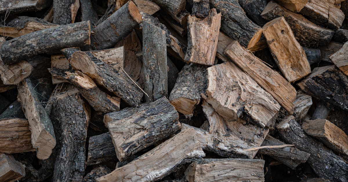 découvrez nos granulés de bois de haute qualité, écologiques et économiques, parfaits pour le chauffage durable et performant.