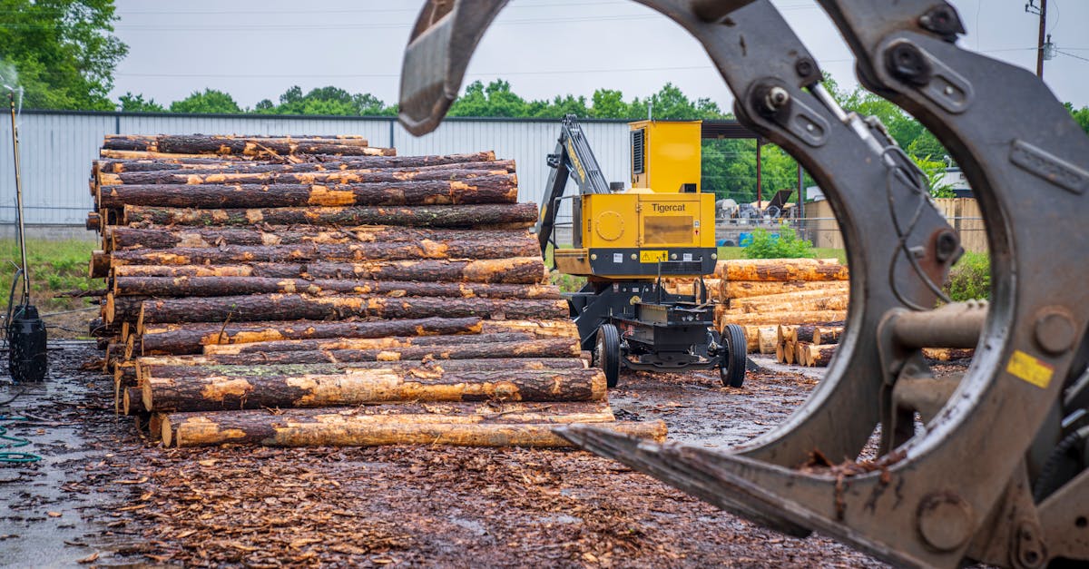 usine de granulés de bois : production écologique de combustibles renouvelables pour un chauffage efficace et durable.