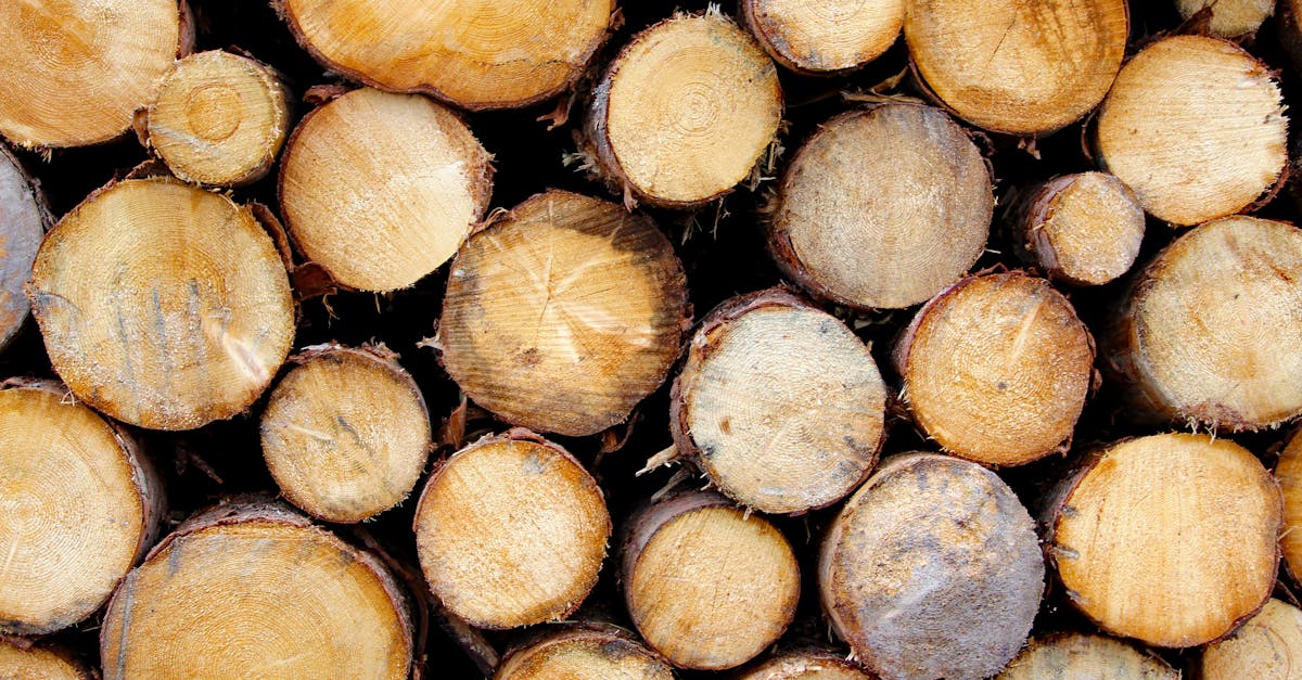 découvrez les dangers de l'intoxication aux granulés de bois, ses symptômes, les mesures de prévention et les traitements pour assurer votre sécurité.