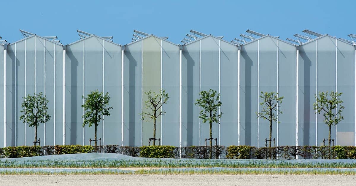 découvrez l'agrivoltaïque, une solution innovante combinant agriculture et énergie solaire pour optimiser l'utilisation des terres et favoriser le développement durable.