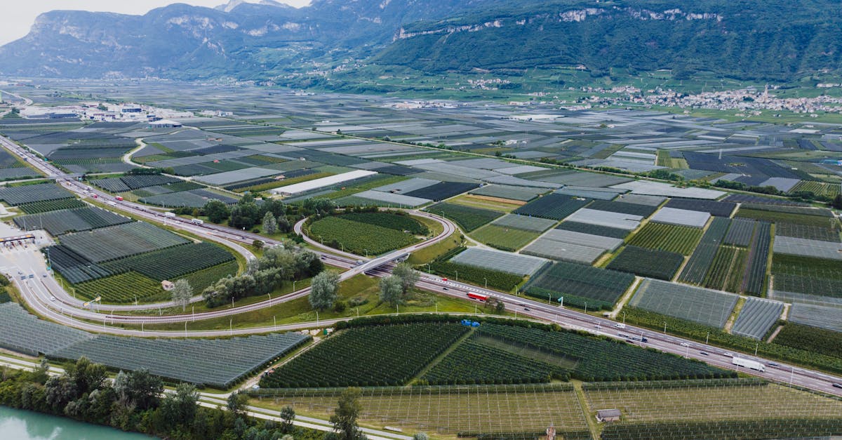 découvrez l'agrivoltaïque, une solution innovante qui combine production agricole et énergie solaire pour un développement durable et efficace.