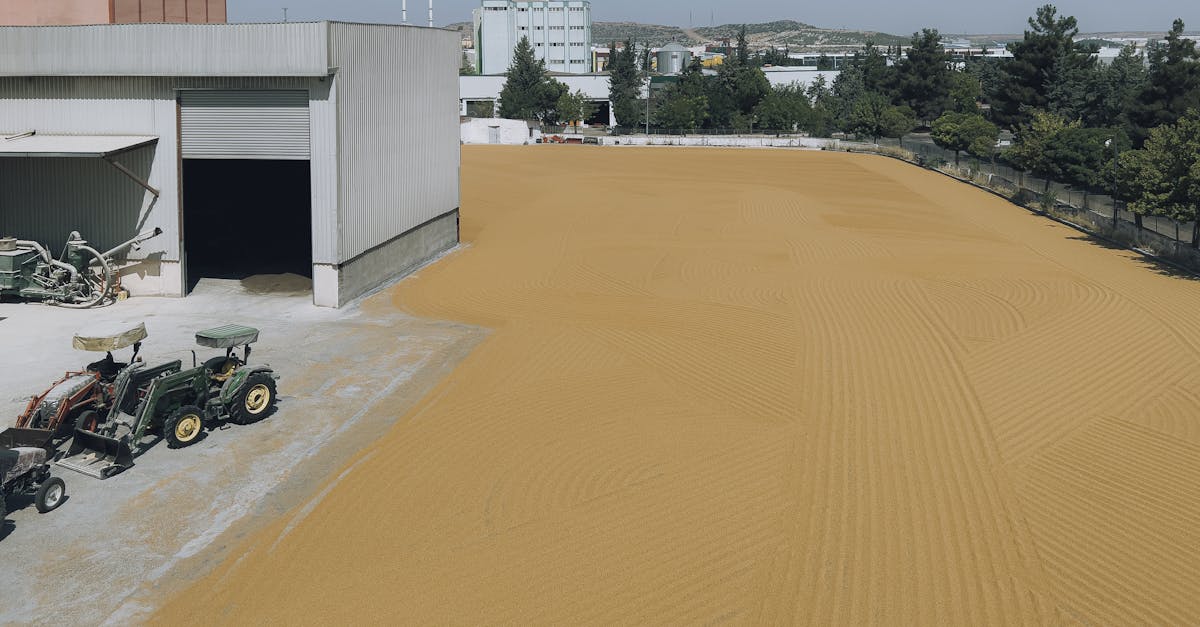 achetez des pellets en vrac au meilleur prix pour un chauffage efficace et économique. livraison rapide et qualité garantie.