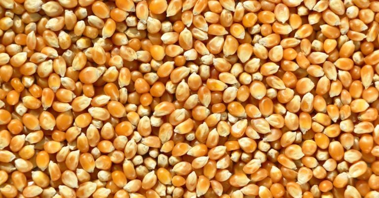 achetez vos granulés en grande quantité au meilleur prix pour un chauffage économique et écologique.