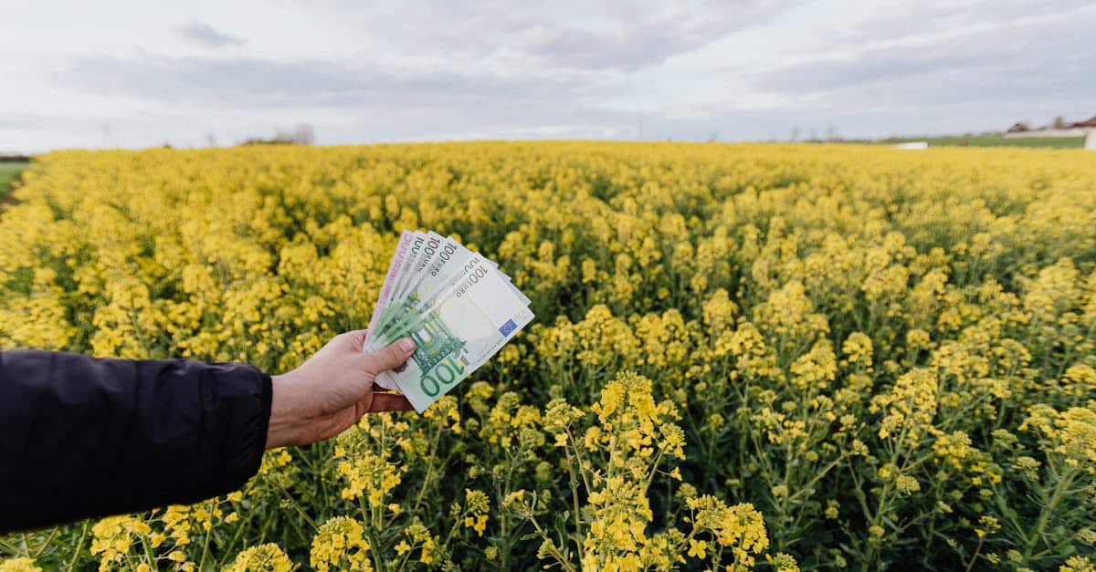 découvrez tout sur le crowdfunding : financement participatif, projets innovants, comment lever des fonds facilement et impliquer votre communauté.