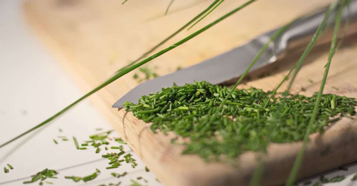 découvrez comment préserver la saveur des herbes aromatiques pour sublimer vos plats et conserver leur fraîcheur plus longtemps.