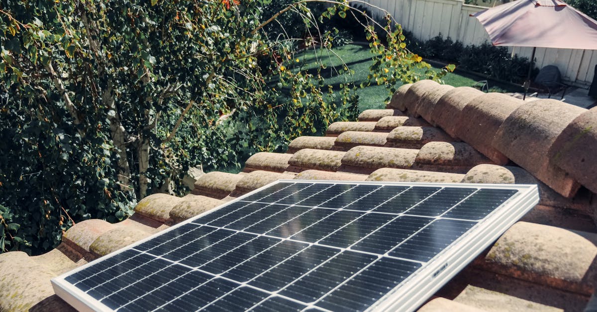 découvrez solar aviary, une solution innovante alliant énergie solaire et protection aviaire pour un environnement durable et respectueux des oiseaux.