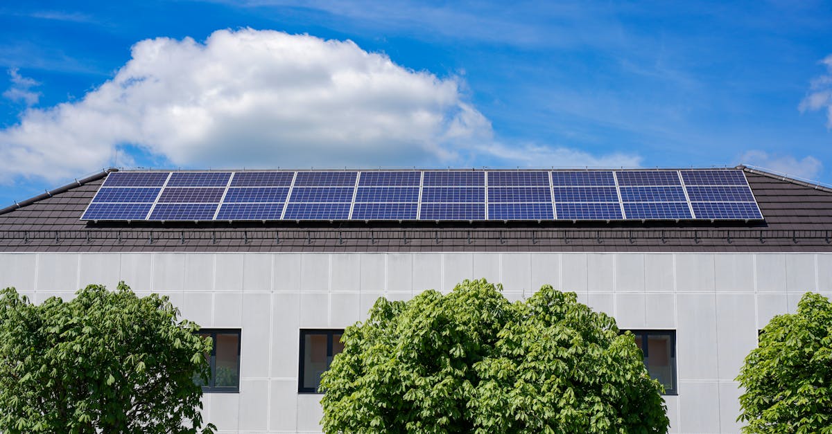 découvrez nos panneaux solaires performants et écologiques pour réduire votre consommation d'énergie et protéger l'environnement.